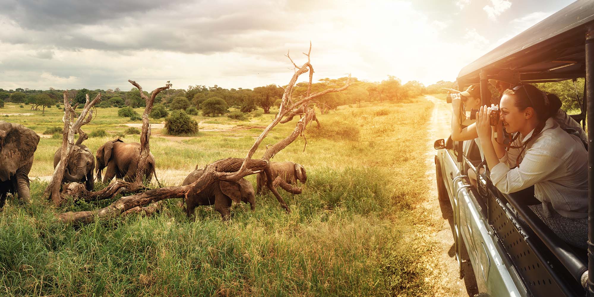 Safari Adventure: In Search of the Big Five in Africa