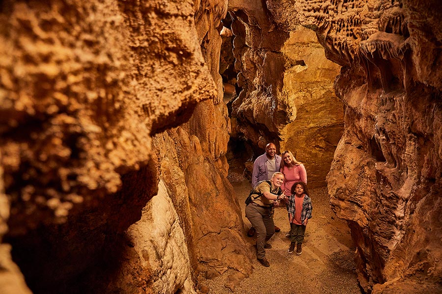 Mammoth Coves, Bowling Green