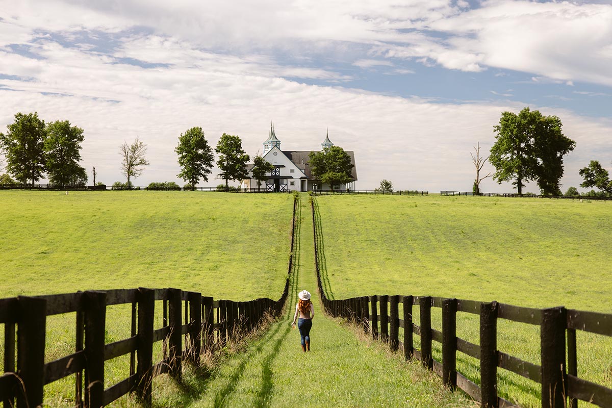 Kentucky Horse Farms Tour