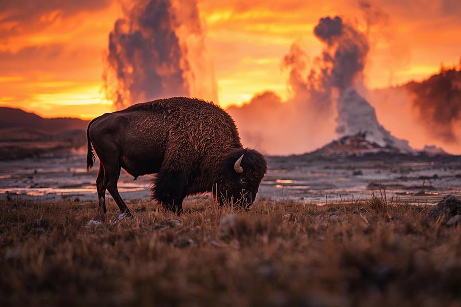 Yellowstone National Park