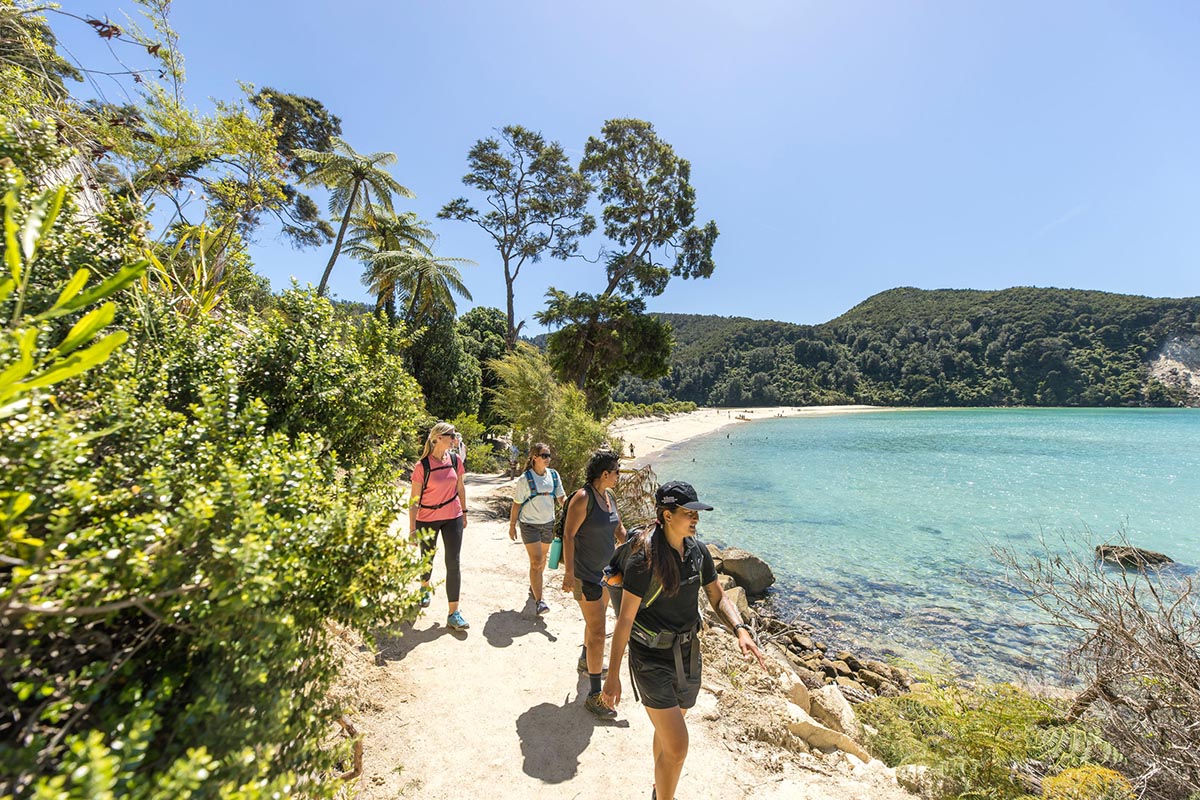 Abel Tasman Sailing Adventure