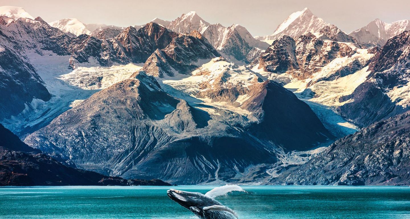 Discover shimmering glaciers, flowing lakes and colourful wildlife on a cruise to Alaska