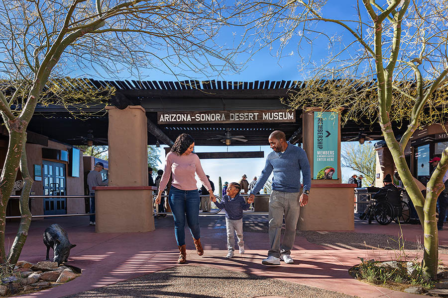 Arizona-Sonora Desert Museum