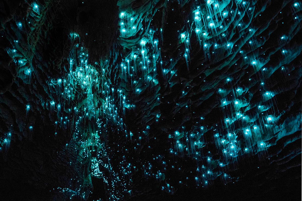 Waitomo Caves, Auckland