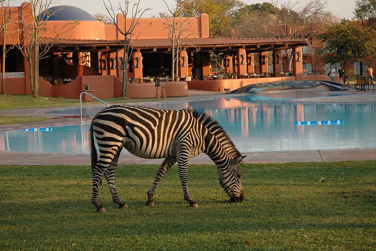 Avani Victoria Falls Resort