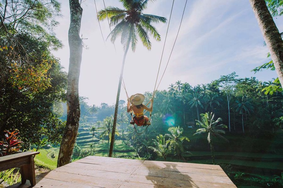 Monkey Forest, Ubud Swing, Waterfalls & Rice Terraces