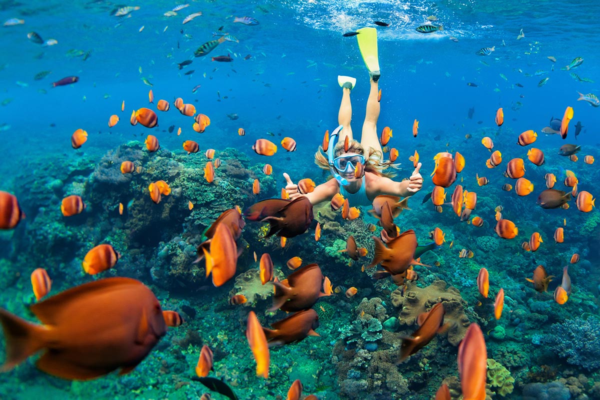 Bali Snorkelling Tour
