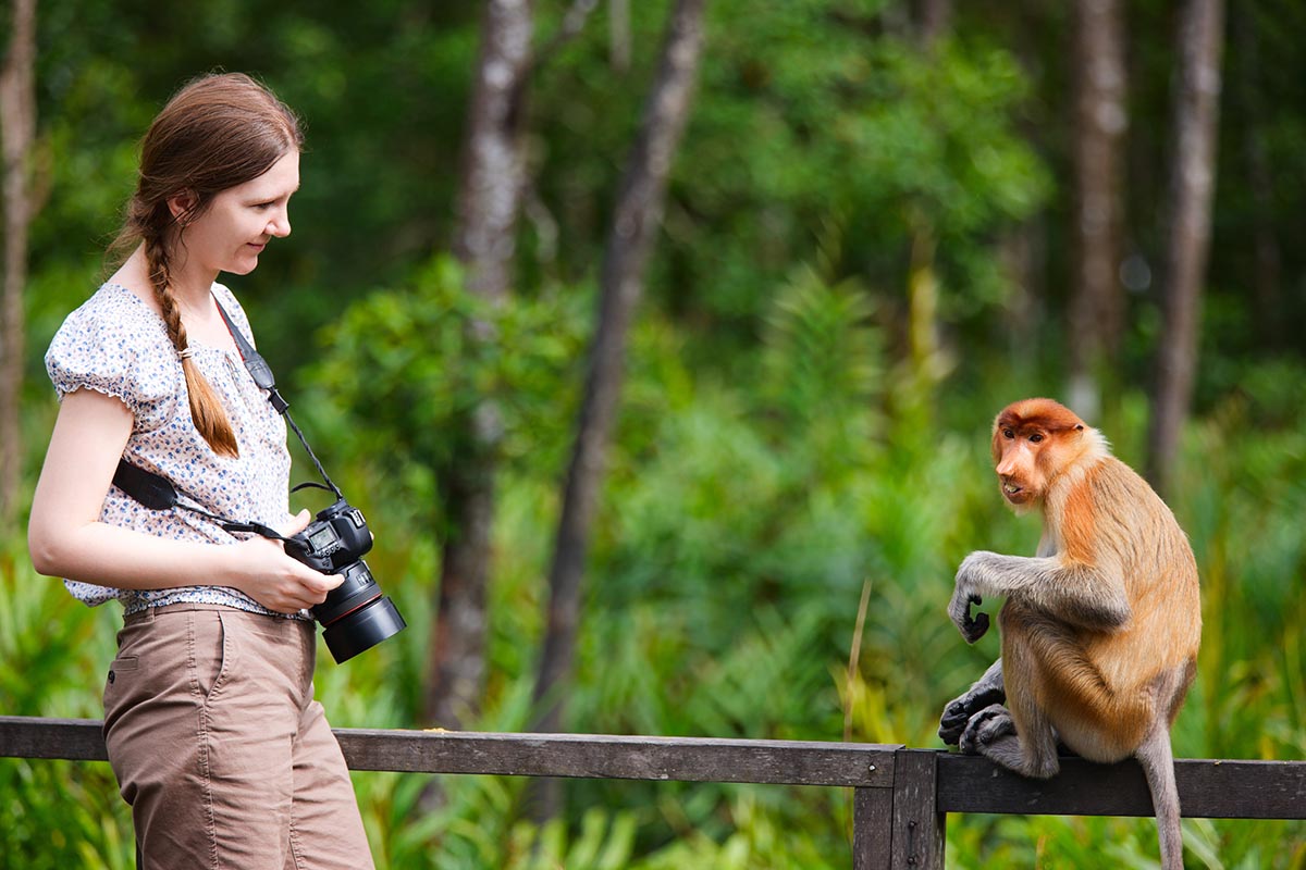Borneo