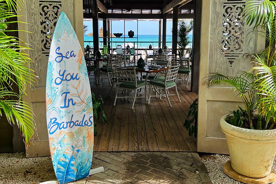 Bougainvillea Barbados