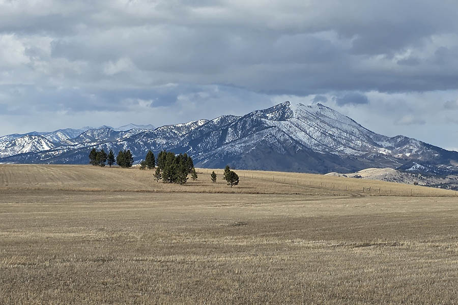 Bozeman