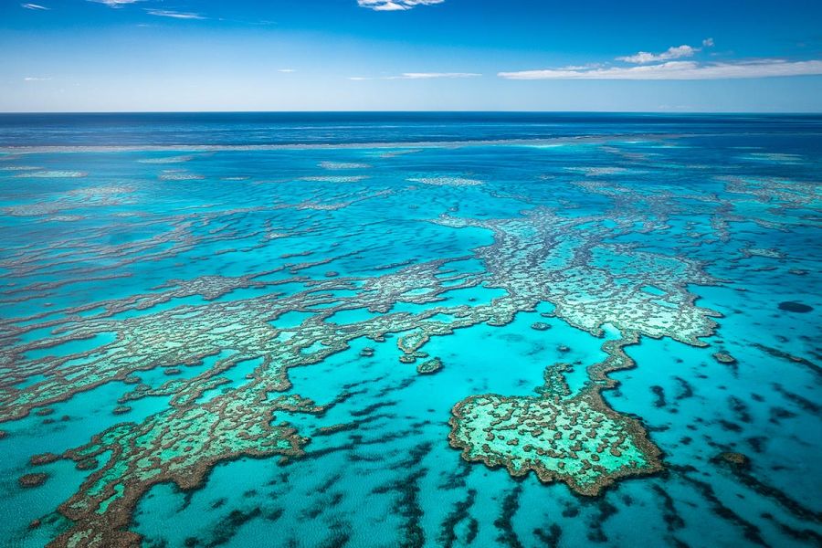 The Great Barrier Reef