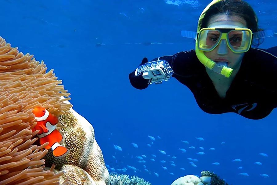 Silverswift Outer Barrier Reef Cruise