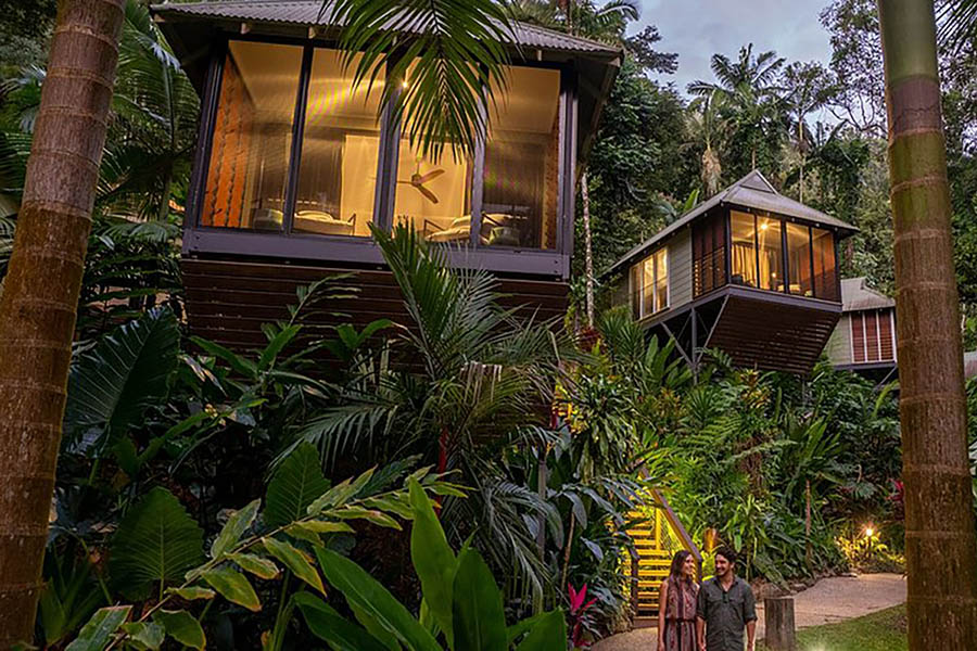 Daintree Ecolodge
