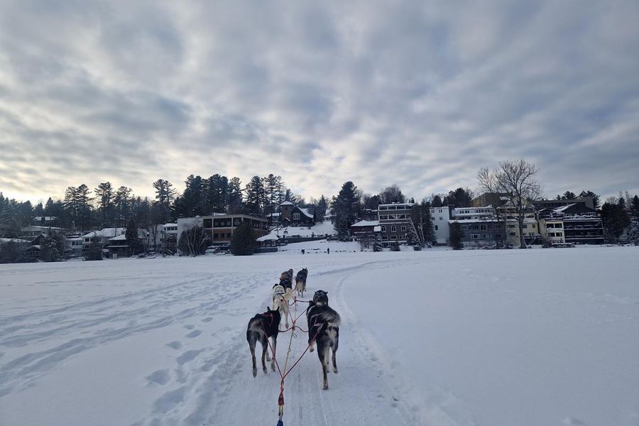 Dog Sledding Lake Placid