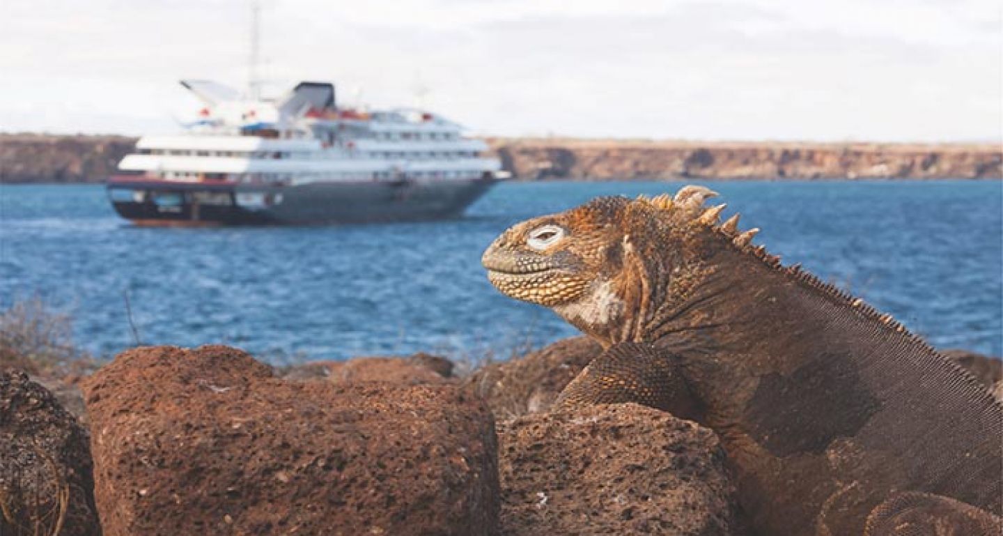 Explore some of the world's most stunning locations with our expedition cruise deals
