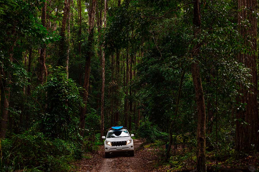Fraser Island (K'gari), Australia