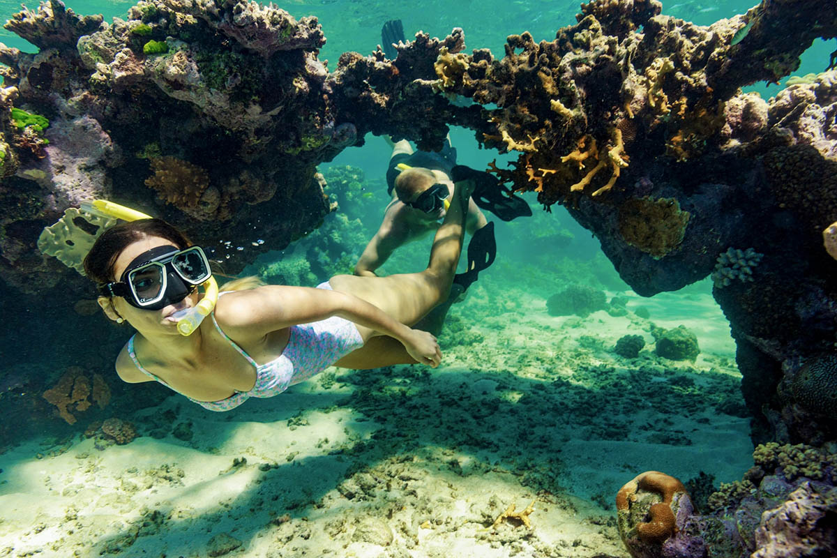 Silverswift Outer Barrier Reef Cruise