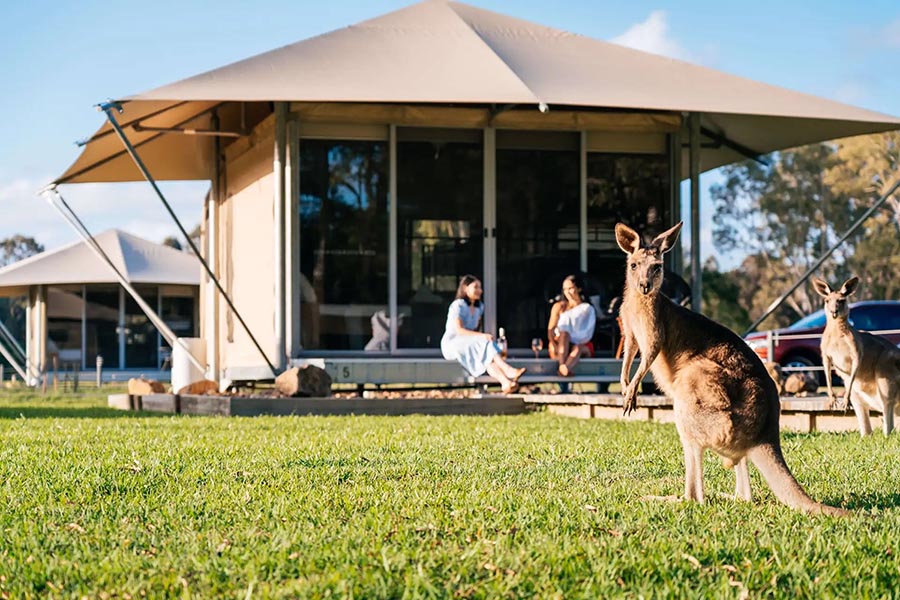 Habitat Noosa Everglades Eco Camp