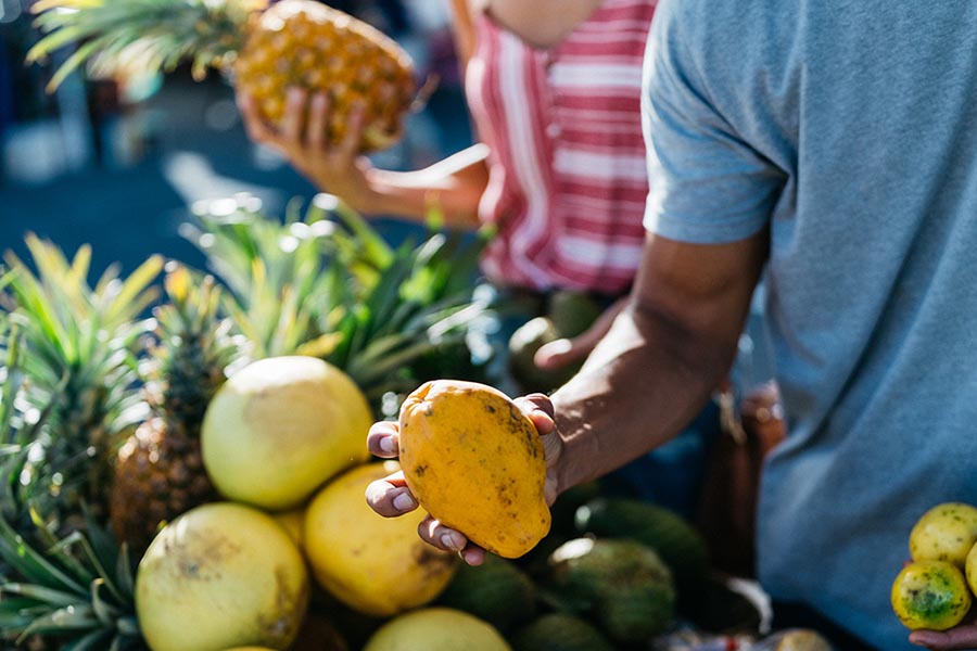 Oʻahu Grand Circle & Dole Pineapple Plantation