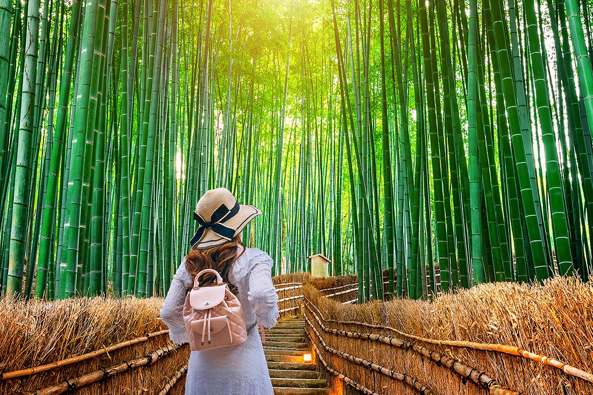 Arashiyama Bamboo Forest, Nara Park, and Fushimi Inari Taisha