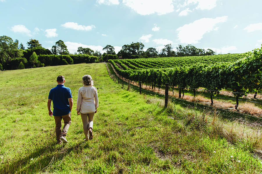 The Indian Pacific - Barossa Valley