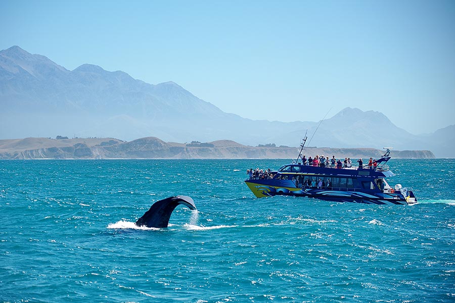 Kaikoura, New Zealand