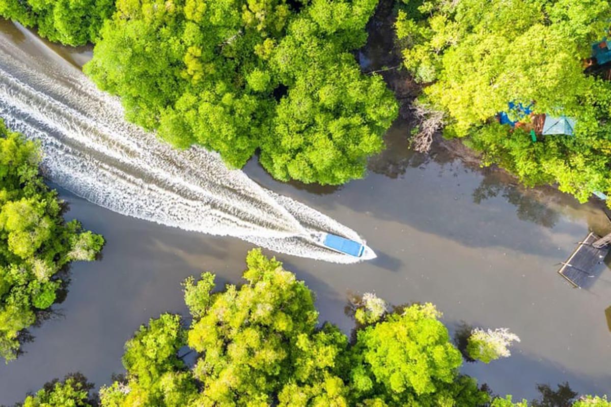 Kinabatangan Wildlife Cruise