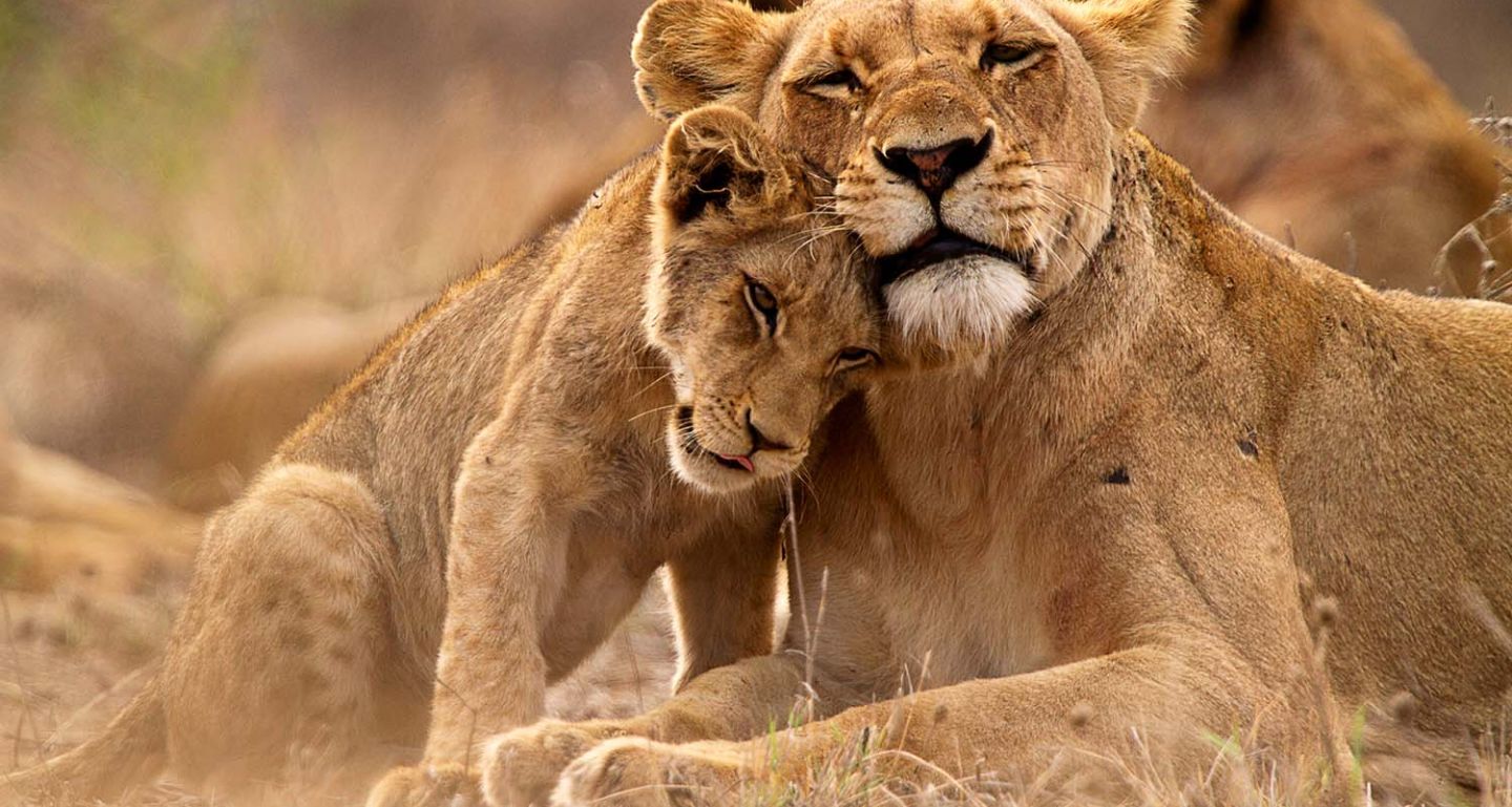Kruger National Park, South Africa