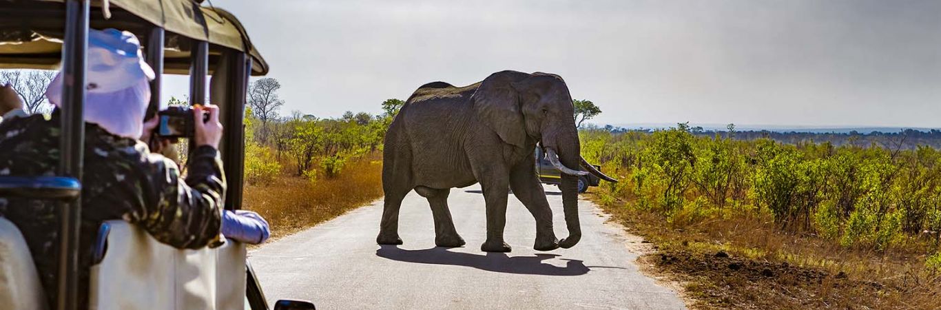Kruger National Park, South Africa
