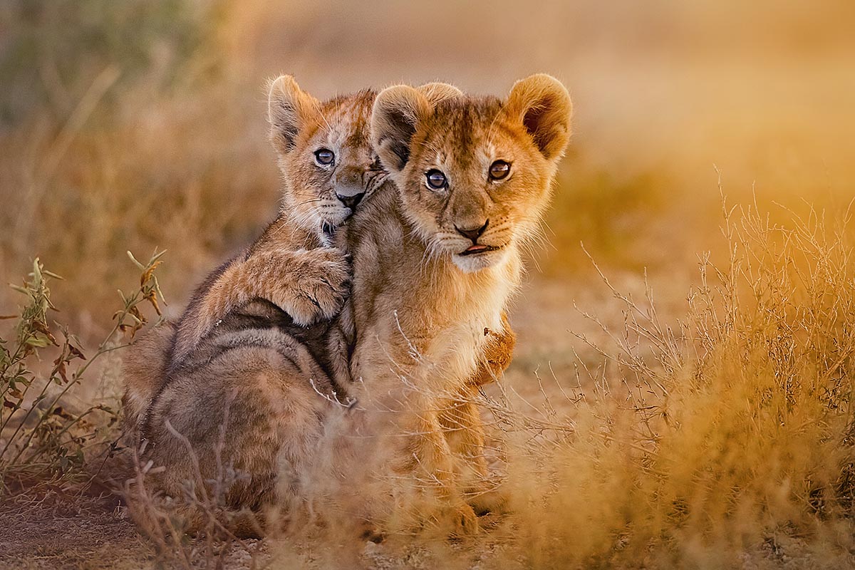 Kruger National Park