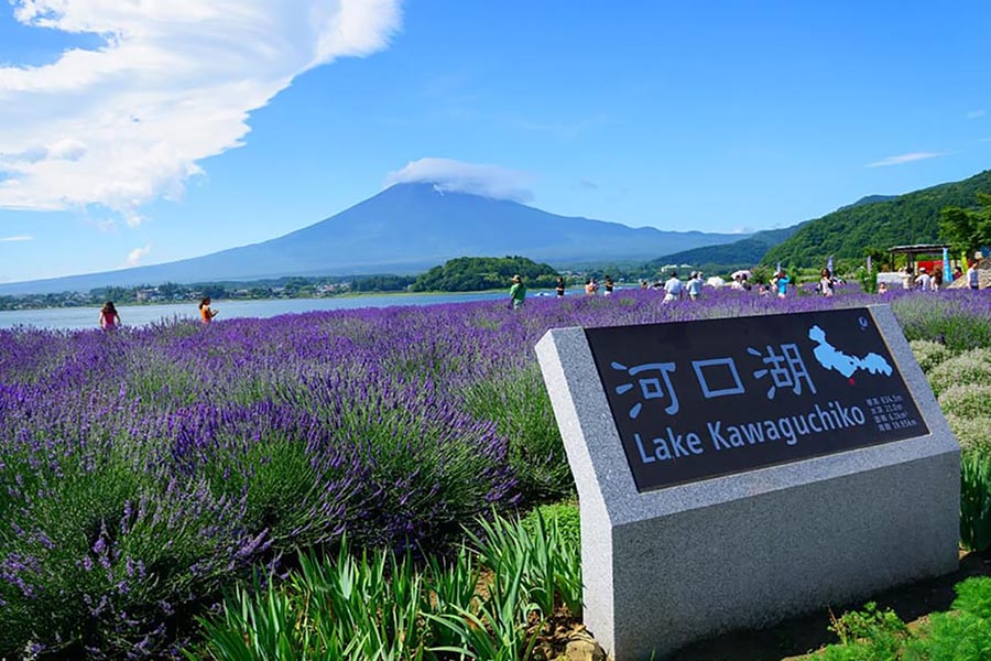 Mount Fuji & Lake Kawaguchi Tour