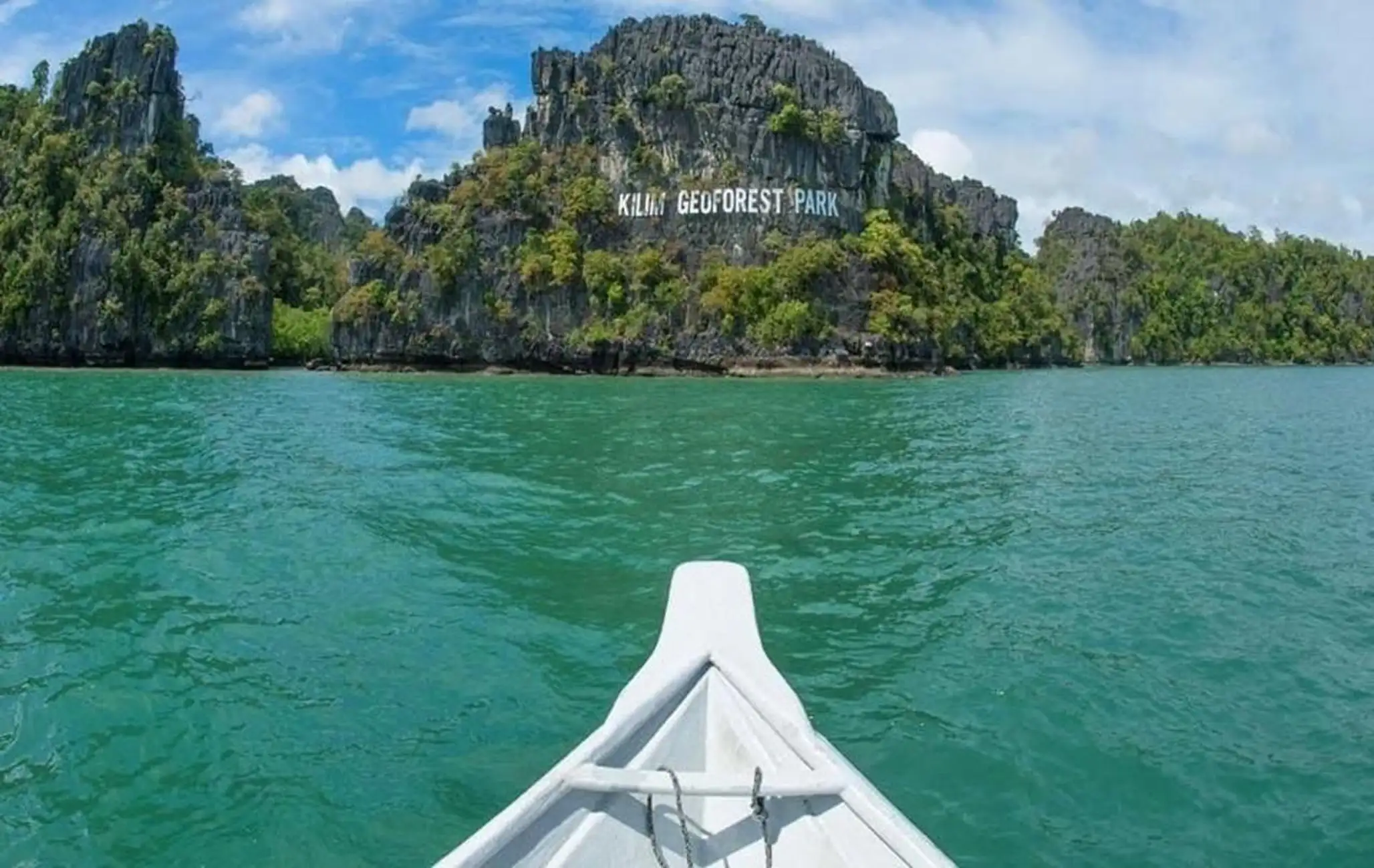 Langkawi Mangroves Cruise