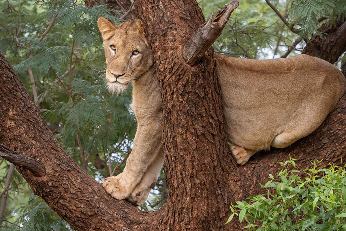 Letamo at Qwabi Private Game Reserve, Waterberg