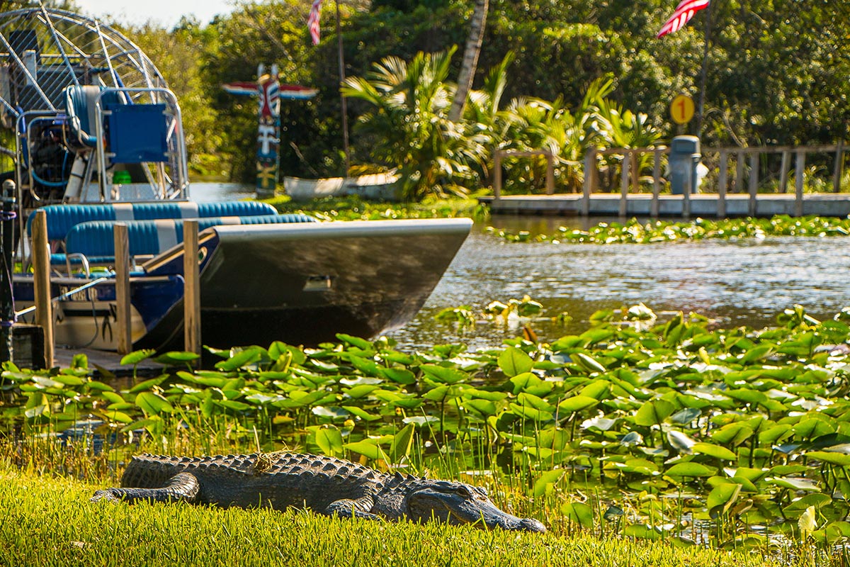 Everglades Airboat Adventure