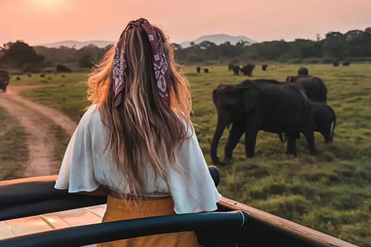 Minneriya National Park Elephant Safari