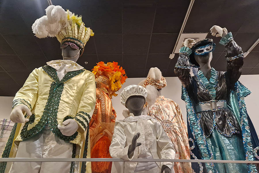 1 Day Attraction Pass - Mardi Gras Museum