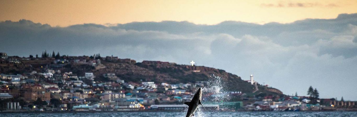 Mossel Bay, South Africa