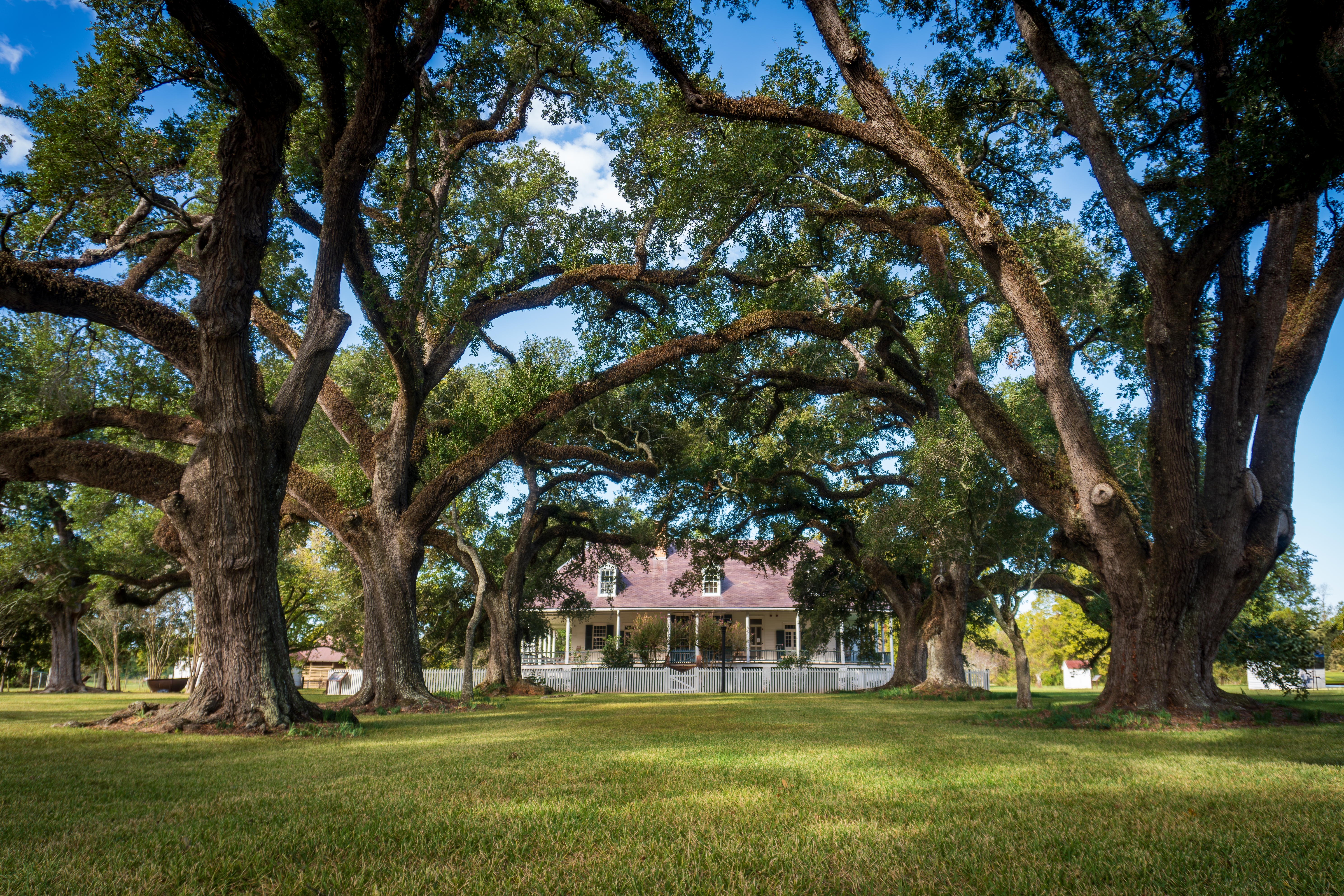 Natchitoches
