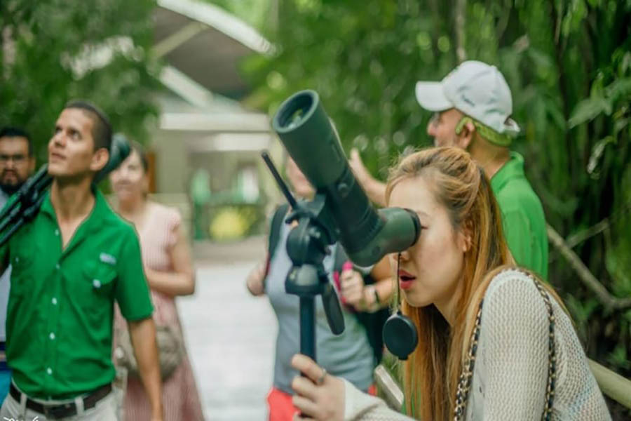 Manuel Antonio National Park Tour with a Naturalist