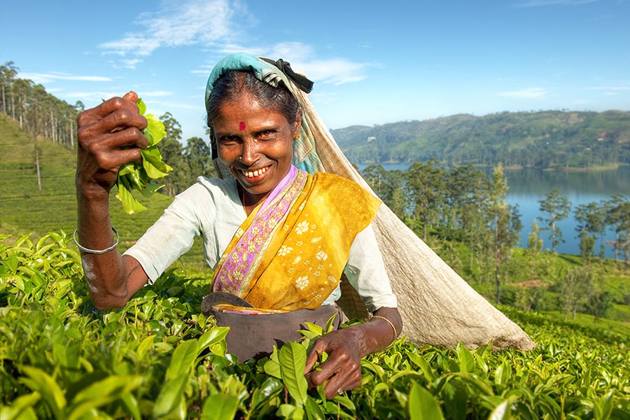 Nuwara Eliya
