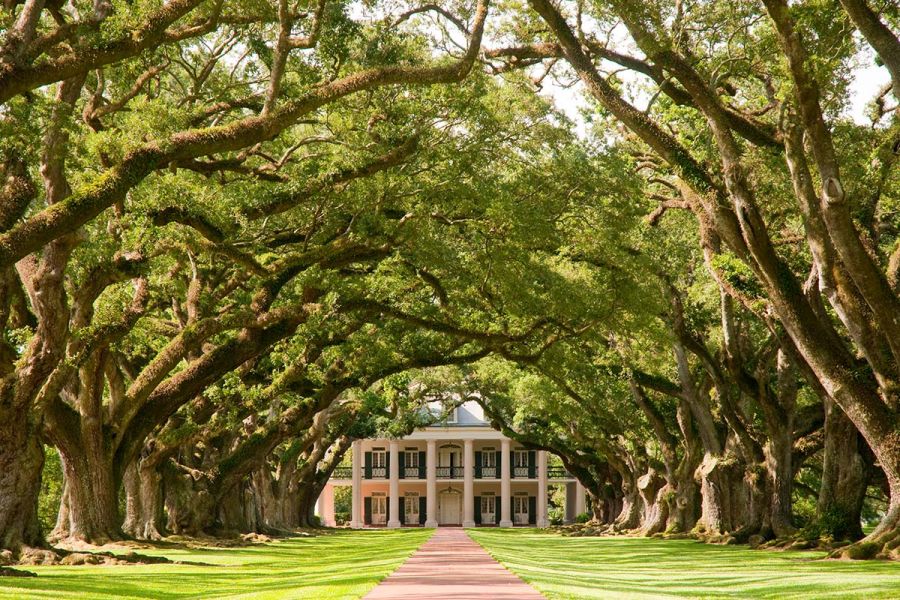 Oak Alley Plantation Tour