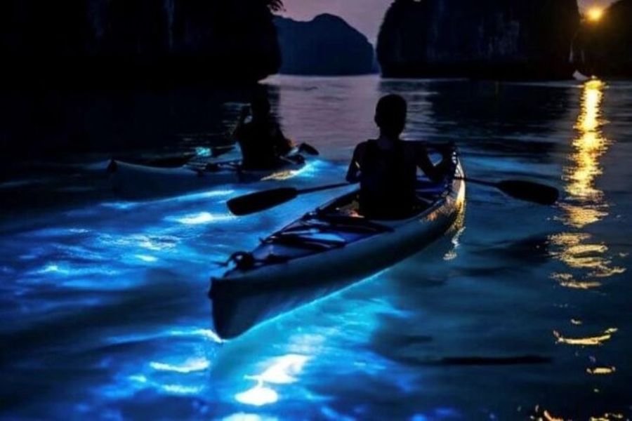 Phang Nga Bay Sea Kayaking Tour