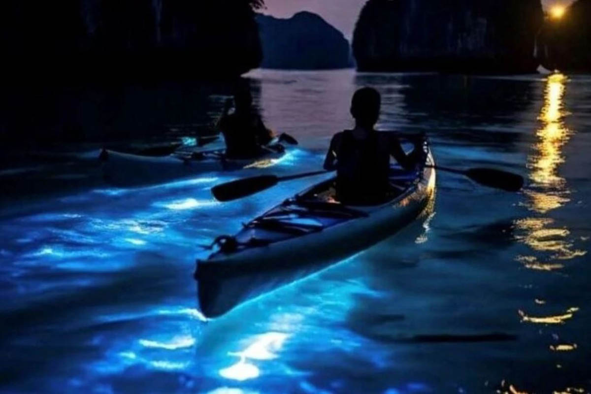 Phang Nga Bay Sea Kayaking Tour