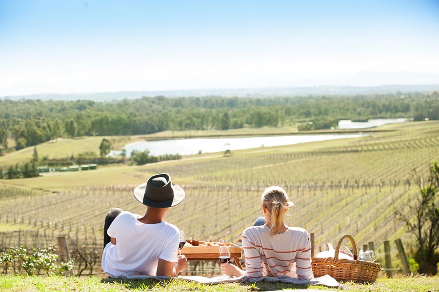 Picnic Among the Vines Experience