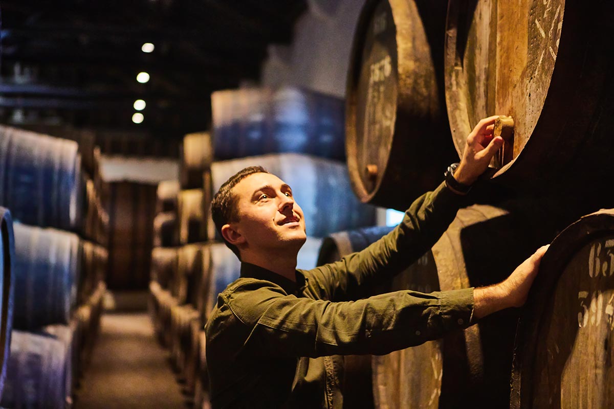 Sintra, Pena Palace & Winery Tour