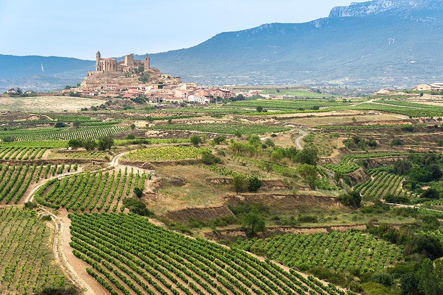 Rioja Region, Spain