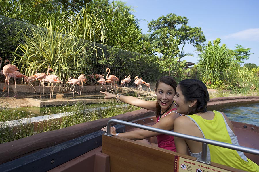 Safari Expedition: River & Night Safari Combo