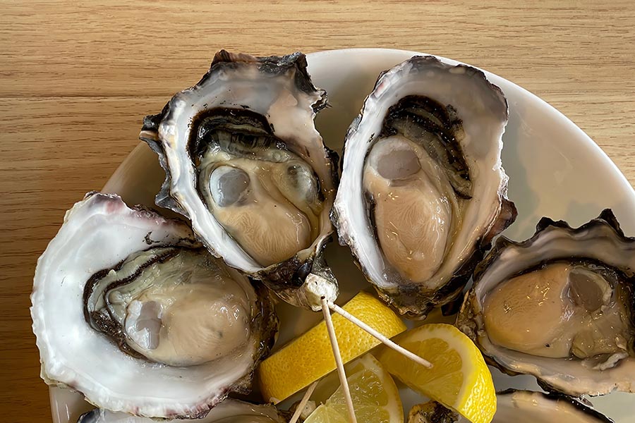 Fresh Tasmanian Oysters
