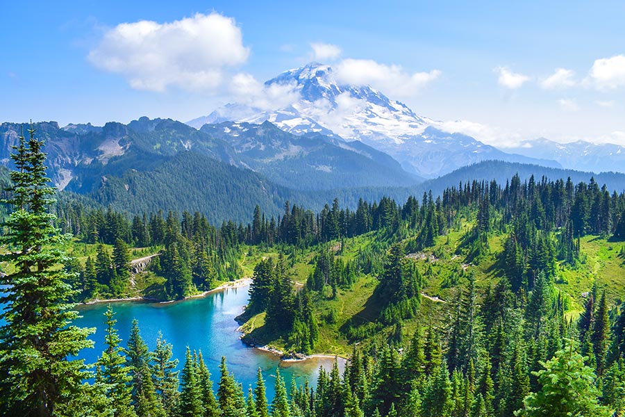Mt Rainier National Park Tour