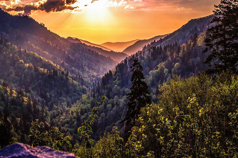 Great Smoky Mountains